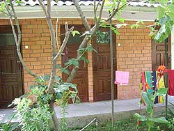 Автобусные туры Лиски - Сочи