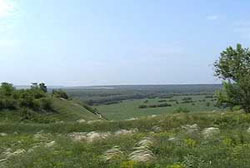 Дивногорье Лиски