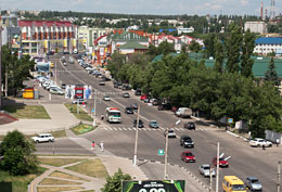 Вид Лиски