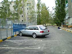 Лиски - двор образцового содержания