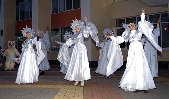 Новый год Лиски