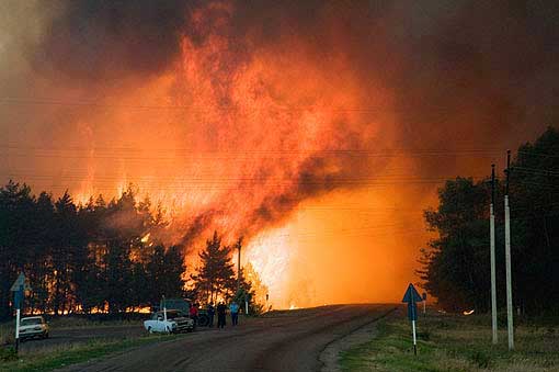 Лиски - лесные пожары