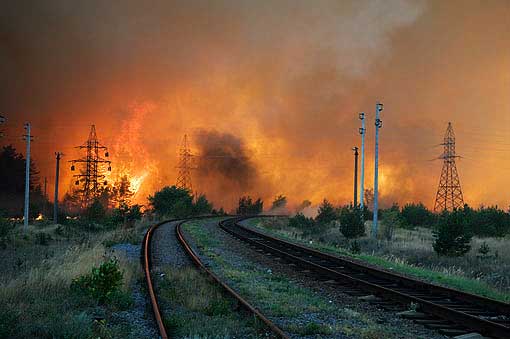 Лиски: лесные пожары