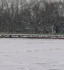 Жителей лискинского села Селявное отрезали от мира